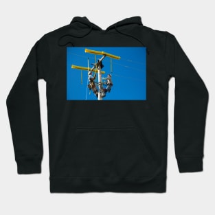 Repairing power lines (C021/9341) Hoodie